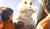 Hintergrund