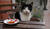 Hintergrund