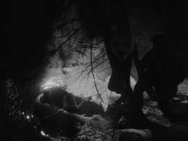 Foto im Vollbild
